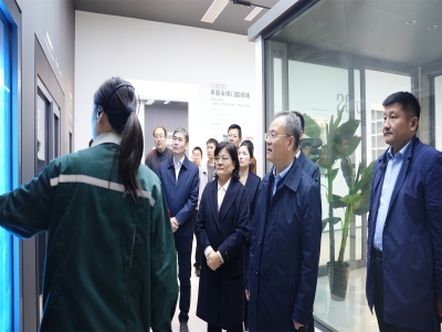 省工信廳總工程師、二級(jí)巡視員孫京軍一行 蒞臨卓越精工調(diào)研指導(dǎo)